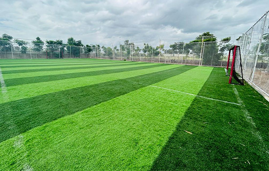 Football Field