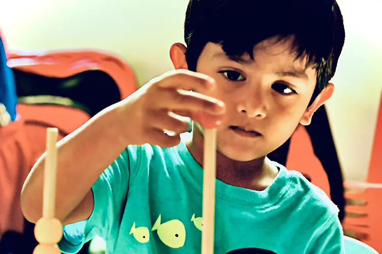 Green Gables International School - Our Vision